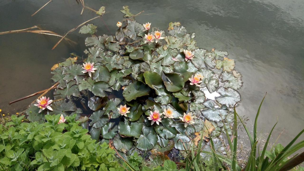 Chambre Coin Nature Fromelles Ngoại thất bức ảnh